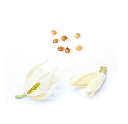 Doterra steady összetevői