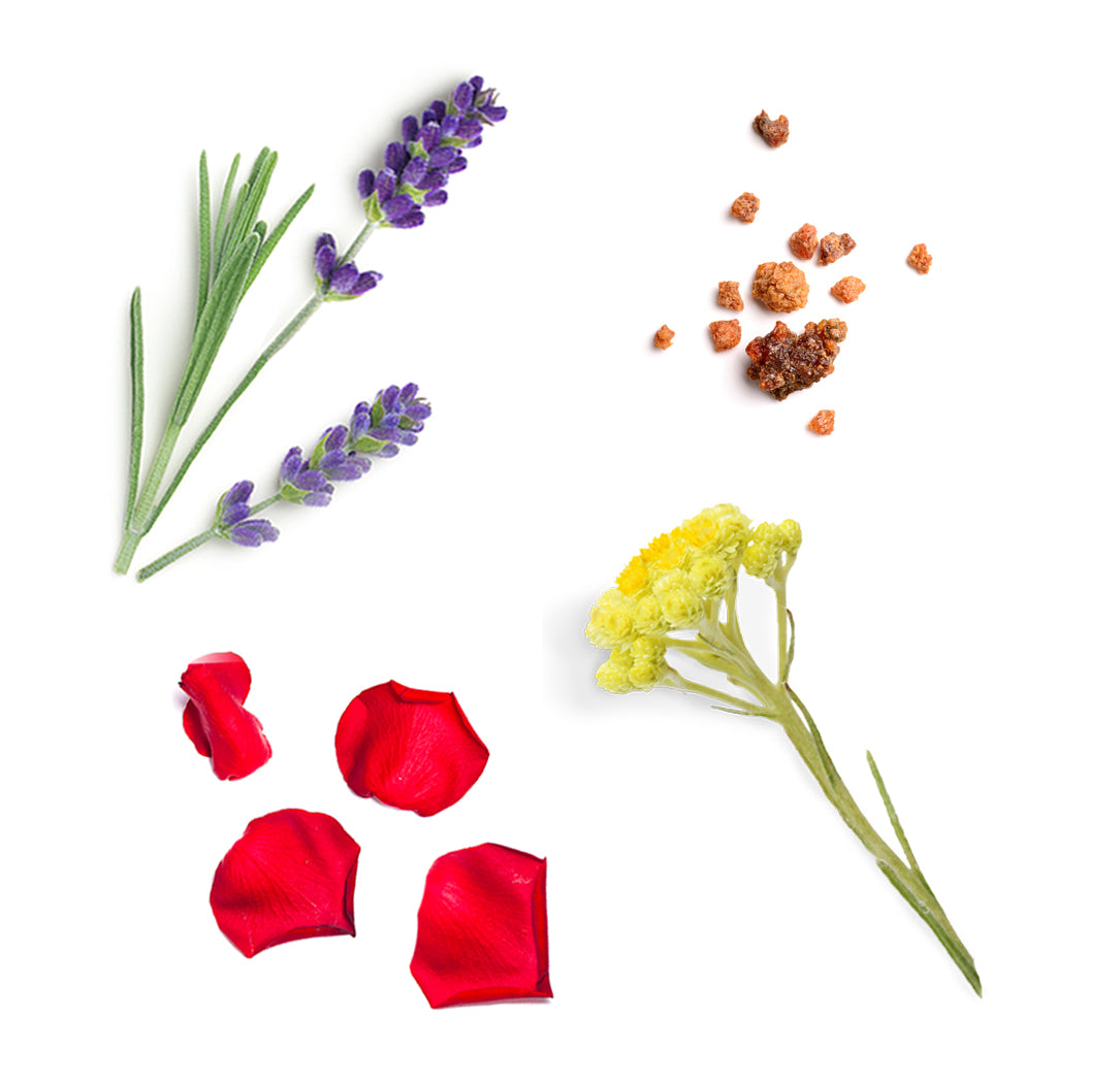 salubelle whats inside 1085x1050 eu v2