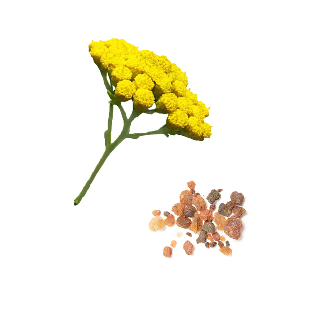 balancedeodorant whats inside 1085x1050 eu