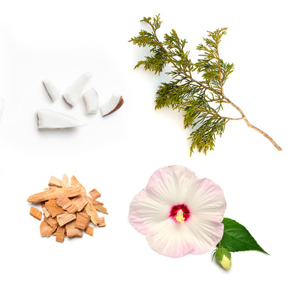 Yule_log alkotóelemei