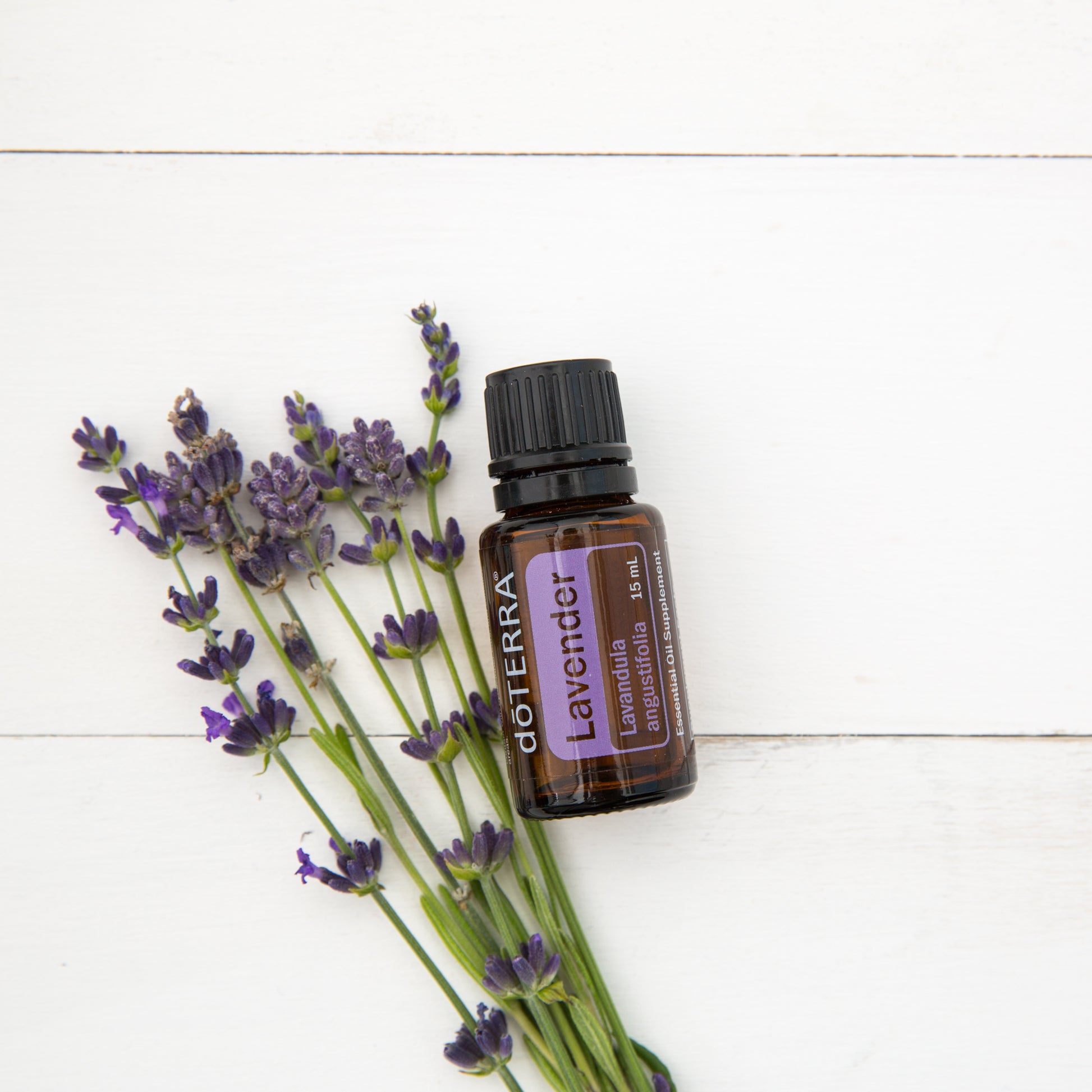 doTERRA levendula illóolaj 15mg - Lavender