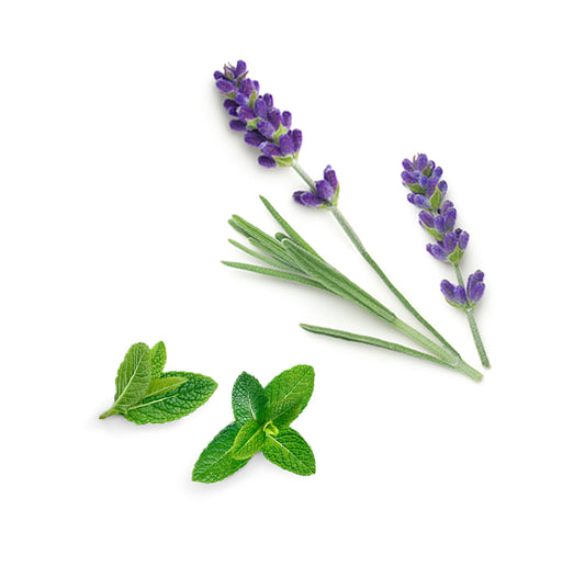 Doterra rescuer összetevői